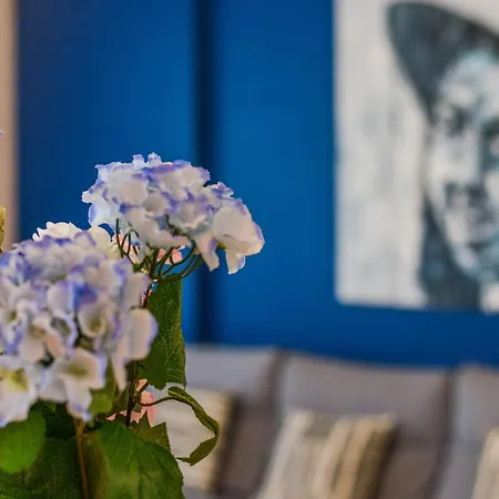 Le Voltaire - Hypercentre - Netflix * Tours