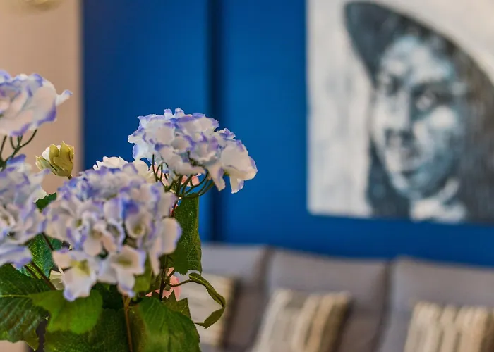 Le Voltaire - Hypercentre - Netflix * Тур