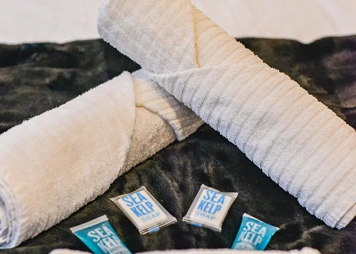 Le Voltaire - Hypercentre - Netflix * Тур