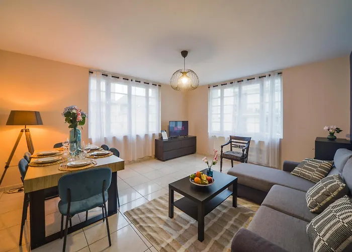 Le Voltaire - Hypercentre - Netflix 图尔